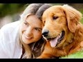 Symptoms of Lyme Disease in Dogs Symptoms of Lyme Disease in Dogs