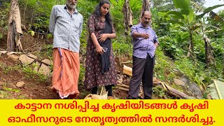 കാട്ടാന നശിപ്പിച്ച കൃഷിയിടങ്ങൾ കൃഷി ഓഫീസറുടെ നേതൃത്വത്തിൽ സന്ദർശിച്ചു.