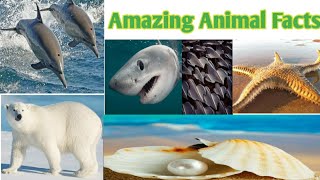 10 amazing wild and sea animal facts 2022৷ ১০টি বন্য ও জলজ প্রাণীর অদ্ভূত তথ্য