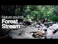 Forest Stream Sounds 3H with Video Background