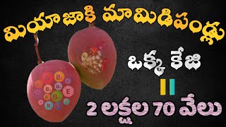 World's Most Expensive Mango Miyazaki Sold For Rs 2.7 Lakhs/Kg | Miyazaki Mango | Noor Jahan Mango