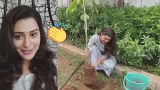 Actress Payal Rajput Accepts Green India Challenge | Daily Culture