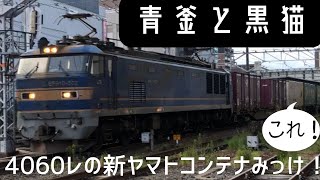 【4060レ新ヤマトコンテナ】ブーンと唸りながら通過 EF510-502青釜 20230809