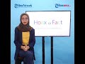 hoax or fact ruu pdp umur pengguna medsos bakal dibatasi 17 tahun