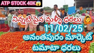 11/02/25 Anantapuram Tomato Market Price Today || Anantapuram Today Tomato Market Rate In  #today