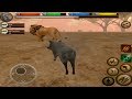 🐗Furious Warthog VS 🦁Angry Lion, Ultimate Savanna Simulator