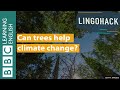 Can trees help climate change? Lingohack