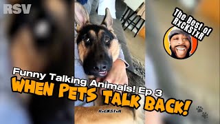 Best of RxCKSTxR Funny Talking Animal Voiceovers Compilation #3