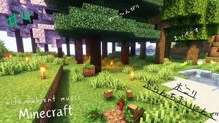 ④マイクラ影modのんびり無言配信 minecraft relaxing longplay no commentary