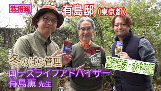 冬のばら管理　ローズライフアドバイザー有島薫先生～植え替え・水やり編～（有島邸）～ガーデンドクターTV147