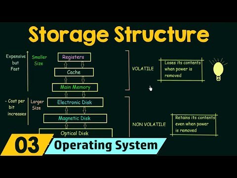 What is the storage structure in a cell?