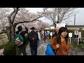 【4k 京都散歩】京都府八幡市石清水八幡宮駅を街歩き walking around iwashimizu hachimangu station osaka japan 2024