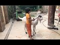 Eid first day with Qurbani ❤️ Eid Mubarak sab ko (Arham vlog)