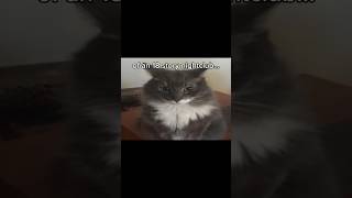 Breaking News Trending Funny