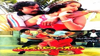 Thodu Dongalu Full Movie | తోడు దొంగలు  సినిమా | చిరంజీవి| కృష్ణ గీత |మధు మాలిని | ట్రెండ్జ్ తెలుగు.