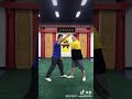 analysis of shaolin luohan short fight mantis boxing