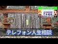 テレフォン人生相談 🐠【横領 詐欺】突然横領事件に巻き込まれる姉妹、請求額２千万円の内容証明郵便とは？◆ パーソナリティ：加藤諦三 ◆ 回答者：マドモアゼル・愛（エッセイスト）