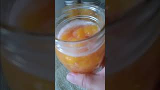 Peachy Fail Help Peaches Canning