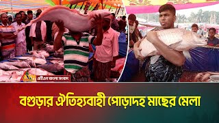 বগুড়ায় শুরু হয়েছে ঐতিহ্যবাহী পোড়াদহ মাছের মেলা। ATN Bangla News