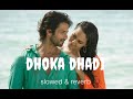 dhoka dhadi song |R rajkumar |sahid Kapoor & Sonakshi Sinha (slowed & reverb) lofi song #nileshrajak