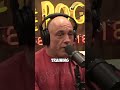 JRE Fans Joe Rogan remembers training Whitey Bulger's hitman