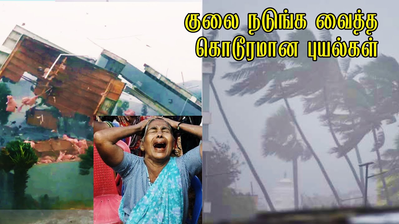 குலை நடுங்க வைத்த கொடூரமான புயல்கள் Deadliest | Cyclones That Struck ...