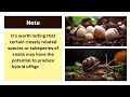 can achatina achatina snails mate with achatina marginata