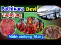 Pathivara Devi Darshan 🙏 || Pathivara Temple Taplejung