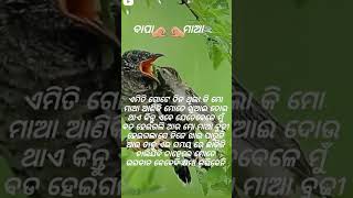 #ଯିଏ ବାପା ମାଆ କୁ#ଭଲ ପାଉ ଥିବେ #ସେ video ku like  share au subscribe Kari debe# love you maa💖bapa#