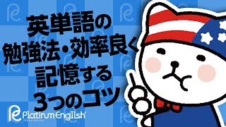 英単語の勉強法・効率良く記憶する３つのコツ