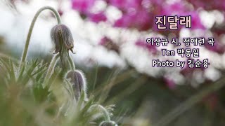 진달래(이상규 시. 정애련 곡) Ten 박동일. Photo by 김순용