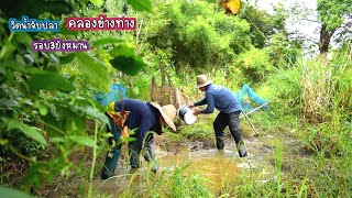 จับยังไงก็ไม่หมด วิดน้ำจับปลาคลองข้างทาง รอบ3ยังหมาน/บ้านนาพาสุข EP.427