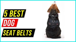 ✅Best Dog Seat Belts 2023 |  Dog Seat Belts Review- The Secret to Protecting Your Pooch on the Road