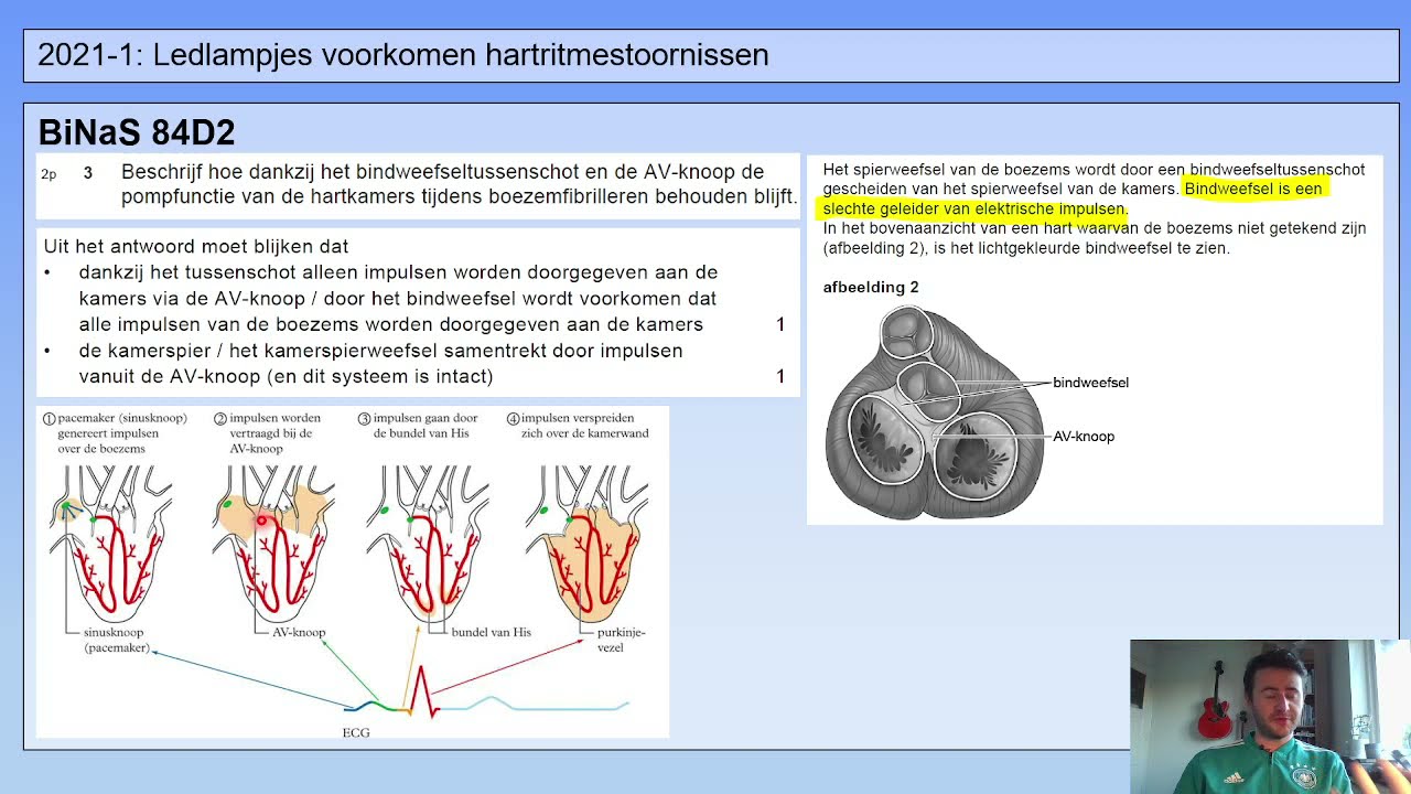 Examentraining Vwo Bio | 1 | Ledlampjes Voorkomen Hartritmestoornissen ...