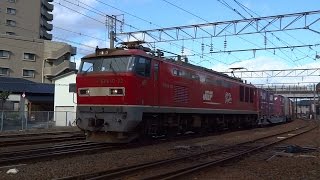 2015.11.14 貨物列車（3098列車）秋田駅到着