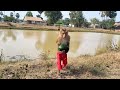 a farmer sokyaa harvesting watermelon at farm alone smart animal