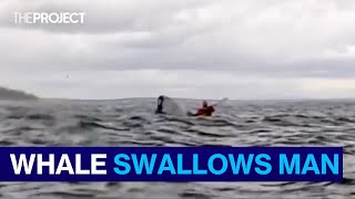 WATCH: Man Survives Being Swallowed By Whale