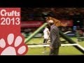 Agility - International Invitation - Large - Agility Finals - Crufts 2013