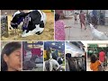 Islamabad to Karachi vlog! | Bakra Eid | Mera bakra aagya!