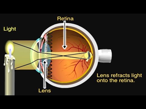 How image is formed in our eye?