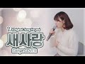 송하예 - 새 사랑 COVER [by 박다혜┃dahye]