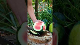 Very fresh cutting ripe watermelon with natural green landscape garden #like #reels #2025 #shorts