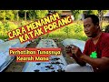 Cara Menanam Katak Porang