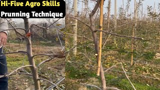 HDP Orchord Pruning||Hi-Five Agro Skills Prunning Technique M9-Root Stock  ||