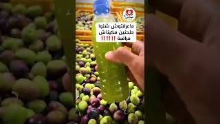 واش الزيت البلدية اللي كتشري صحيحة ولا مغشوشة 🫒🤔