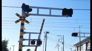 【踏切】JR内房線　色々な警報灯がある踏切 (Railroad crossing in Japan)