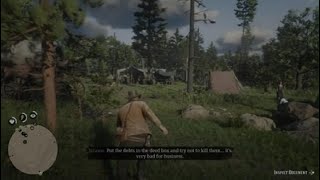 Red Dead Redemption 2 part 5