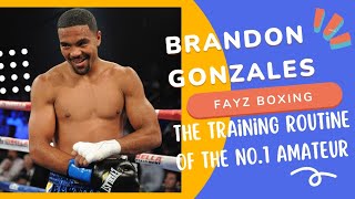 Brandon Gonzales - The Training routine of the No.1 Ranked Amateur Boxer