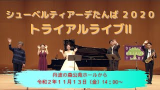 丹波の森国際国際音楽祭シューベルティアーデたんば　トライアルライブⅡ