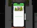 Flutter Tutorials : Create a Carousel Slider Example App in Flutter Step by Step